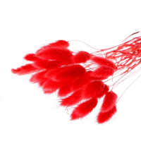 Сухоцветы &laquo;Лагурус&raquo;, набор 30 шт., цвет красный