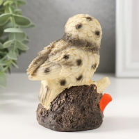 Сувенир полистоун "Сова на ветке с цветами" 8х7х11 см Сувенир полистоун "Сова на ветке с цветами" 8х7х11 см