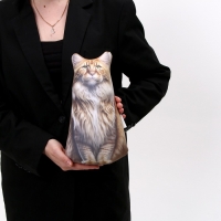 Антистресс игрушка, кот «Мейн-кун» Антистресс игрушка, кот «Мейн-кун»