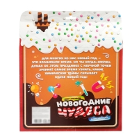 Набор для опытов на 13 дней &laquo;Новогодние чудеса&raquo;, 13 опытов