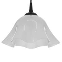 Люстра "Ирис" 1х15Вт Е27 МОДЕЛЬ: BR 00260 черный/белый 28х28х14см Люстра "Ирис" 1х15Вт Е27 МОДЕЛЬ: BR 00260 черный/белый 28х28х14см