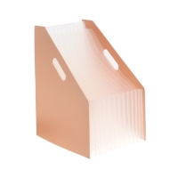 Лоток вертикальный для бумаг пластиковый А4 Calligrata, 12 отделений Лоток вертикальный для бумаг пластиковый А4 Calligrata, 12 отделений