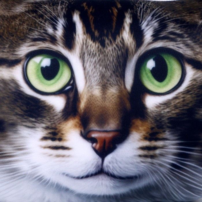 Антистресс-подушка, кошка &laquo;Дуся&raquo;