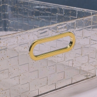 Органайзер для хранения «SHINE», с ручками, 1 секция, 25 × 19,5 × 9,5 см, цвет прозрачный/золотистый Органайзер для хранения «SHINE», с ручками, 1 секция, 25 × 19,5 × 9,5 см, цвет прозрачный/золотистый