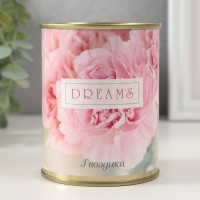 Растущая травка "DREAMS" (Гвоздика) Растущая травка "DREAMS" (Гвоздика)