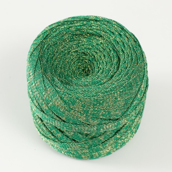 Трикотажная пряжа "Риббон" с люрексом 85м/170&plusmn;5 гр (Нефрит, люрекс: Золото)