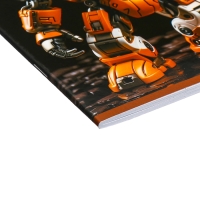 Альбом д/рис А4 32л на скрепке Робо, обл мел карт, тиснение, бл 100 г/м2, МИКС Альбом д/рис А4 32л на скрепке Робо, обл мел карт, тиснение, бл 100 г/м2, МИКС