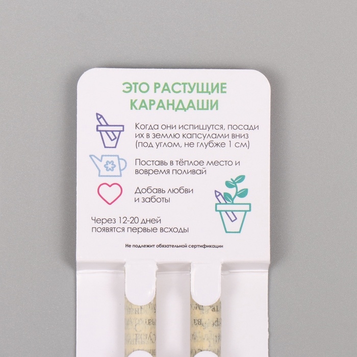 Растущие подарочные карандаши mini "Мята + Паприка" набор 2 шт.