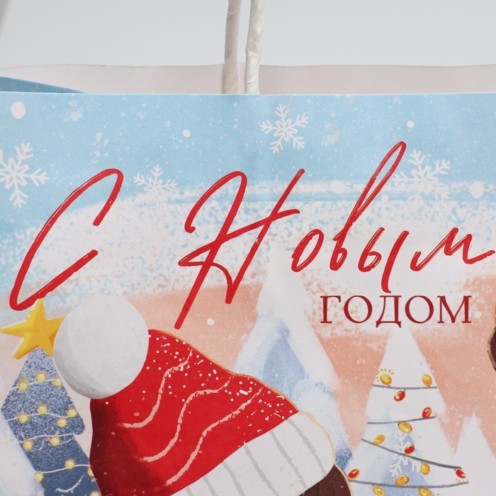 Пакет подарочный новогодний крафтовый &laquo;Согревайся&raquo;, 25 х 22 х 12 см, Новый год