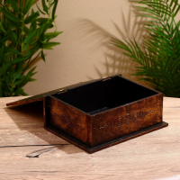 Шкатулка "Слоник" 24х18х9 см Шкатулка "Слоник" 24х18х9 см