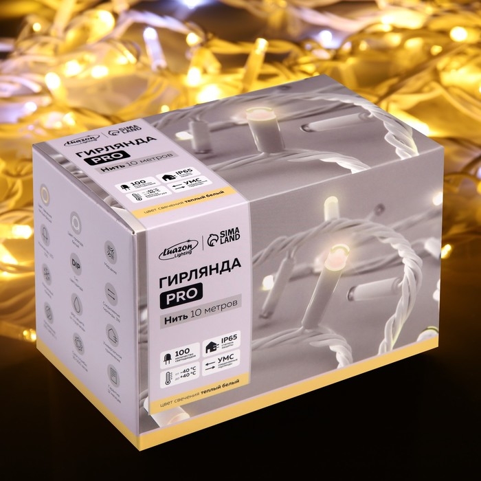 Гирлянда «Нить» 10 м, IP65, УМС, белая каучуковая нить, 100 LED, свечение тёплое белое, мерцание, 220 В Гирлянда «Нить» 10 м, IP65, УМС, белая каучуковая нить, 100 LED, свечение тёплое белое, мерцание, 220 В