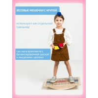Балансборд &laquo;Доска Бильгоу&raquo; + 12 предметов, комплект &laquo;Успех Макси&raquo; для мозжечковой стимуляции