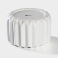 Банка керамическая для сыпучих продуктов Доляна &laquo;Золотой зайка&raquo;, 600 мл, цвет керамическая, белый