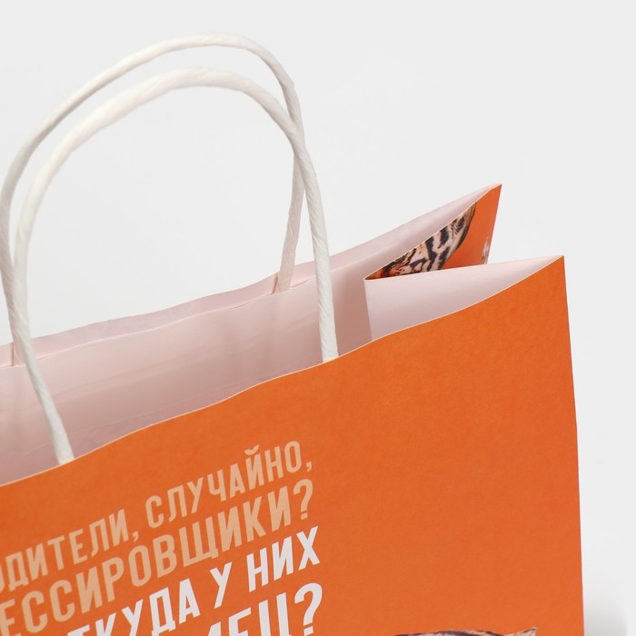 Пакет подарочный, упаковка, &laquo;Самец&raquo;, 22 х 22 х 11 см