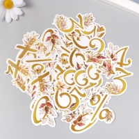 Наклейки для творчества "Цветочные цифры" тиснение золото набор 48 шт 9х7х0,8 см Наклейки для творчества "Цветочные цифры" тиснение золото набор 48 шт 9х7х0,8 см