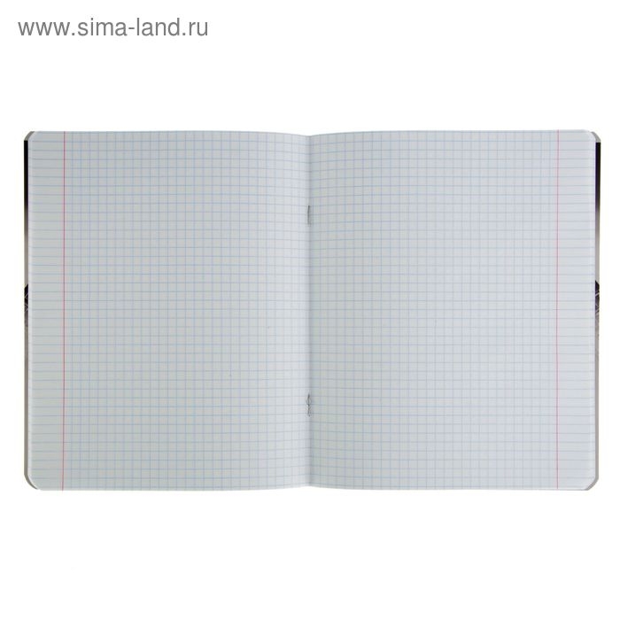 Тетрадь 48 листов в клетку Тетрадь 48 листов в клетку "Машины жажда скорости", обложка мелованный картон, УФ-лак, МИКС