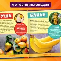 Фотоэнциклопедия для детей &laquo;Мир вокруг нас&raquo;, 48 стр.