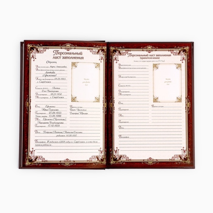 Родословная книга в шкатулке с деревом &laquo;Книга моей семьи&raquo;, 20 х 26 см.