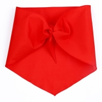 Галстук пионерский, 100% п/э, цвет красный 120 &times; 35 см