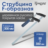 Струбцина F-образная ТУНДРА, 300 х 50 х 350 мм Струбцина F-образная ТУНДРА, 300 х 50 х 350 мм