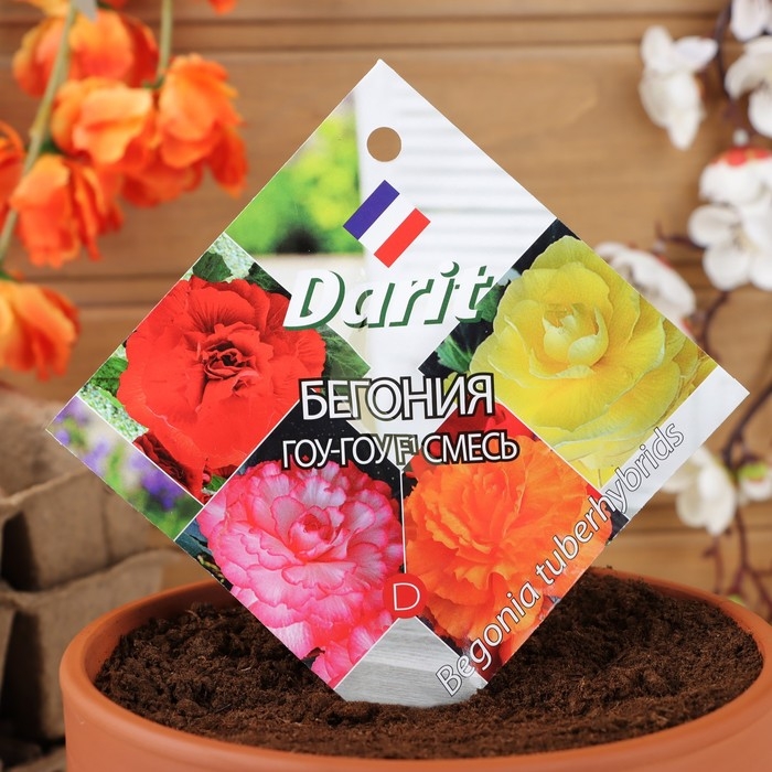 Семена цветов Бегония Семена цветов Бегония "Гоу-гоу", 6 шт.