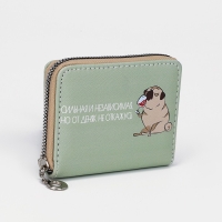 Кошелёк на молнии, отдел для карт, для монет, цвет зелёный Кошелёк на молнии, отдел для карт, для монет, цвет зелёный