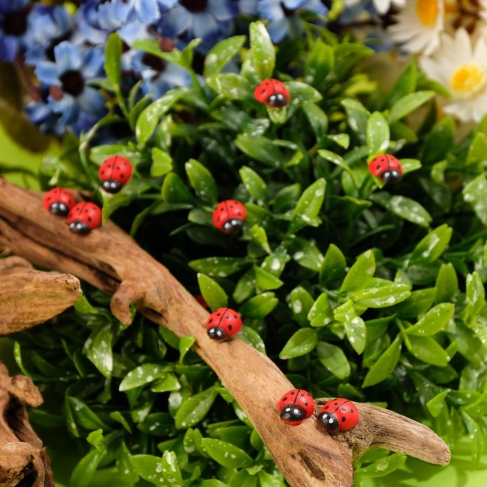 Декор флористический «Божьи коровка», 38 шт.,13 х 11 мм Декор флористический «Божьи коровка», 38 шт.,13 х 11 мм