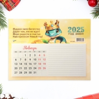 Календарь отрывной на магните "Символ года - 3" с блоком для записей, 2025 год, 15 х 20 см Календарь отрывной на магните "Символ года - 3" с блоком для записей, 2025 год, 15 х 20 см
