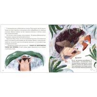 Книжка с заданиями &laquo;Куда исчезла Капелька?&raquo;, Мироненко А.