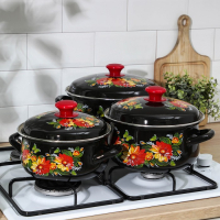 Набор кастрюль &laquo;Дуновение-1&raquo;, 3 предмета: 2 л, 3 л, 4 л, d=20,5/23/26 см, эмалированные крышки, индукция