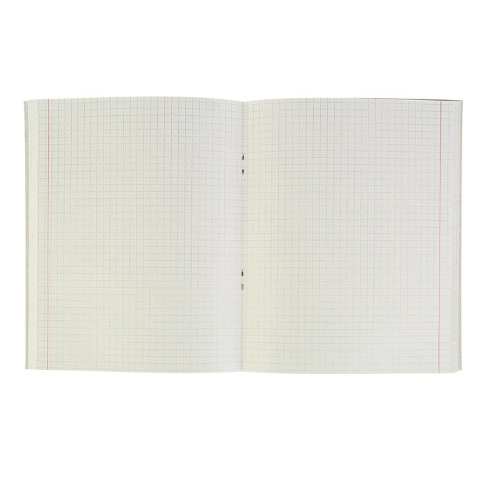 Тетрадь 96 листов в клетку Calligrata Тетрадь 96 листов в клетку Calligrata "Природа", обложка мелованный картон, блок №2, белизна 75% (серые листы), МИКС