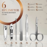 Набор маникюрный, 6 предметов, в футляре, синий Набор маникюрный, 6 предметов, в футляре, синий