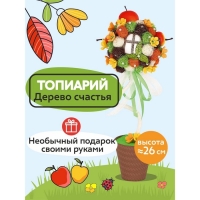 Набор для творчества топиарий &laquo;Яблоневый сад&raquo;, 26 см, 10+