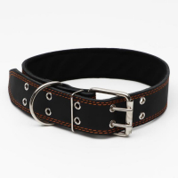 Ошейник кожаный на синтепоне, 82 х 4.5 см, ОШ 50-70 см, чёрный Ошейник кожаный на синтепоне, 82 х 4.5 см, ОШ 50-70 см, чёрный