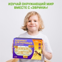 Набор для опытов &laquo;Лабиринт для муравьёв&raquo;