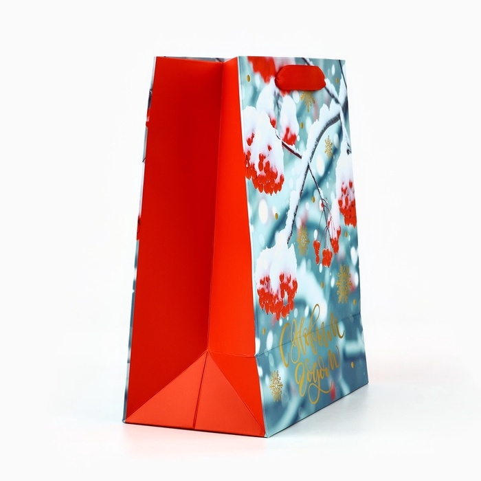 Пакет подарочный новогодний ламинированный &laquo;Рябина&raquo;, MS 23 x 18 х 10 см
