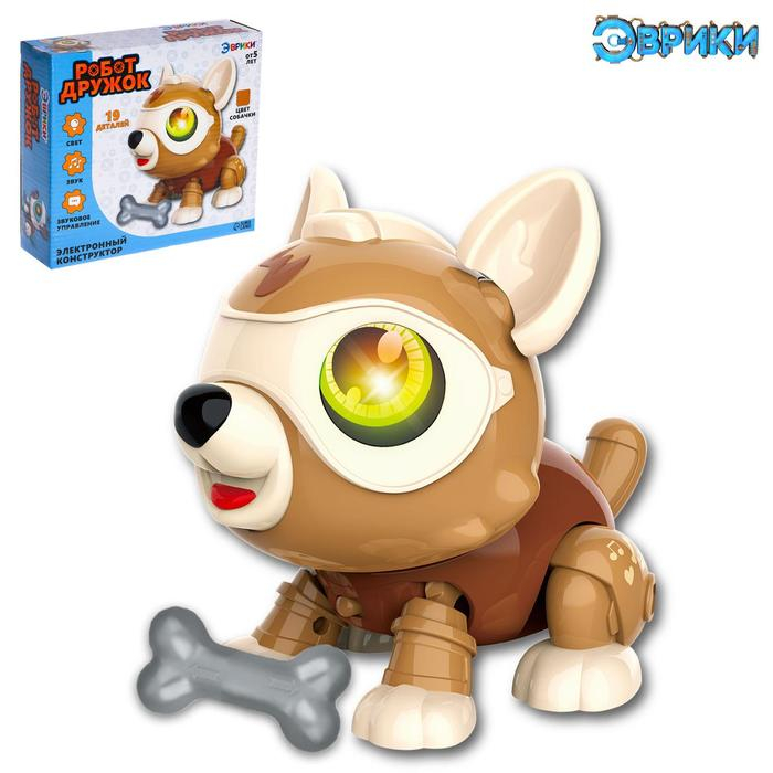 Электронный конструктор &laquo;Робот Дружок&raquo;, цвет коричневый