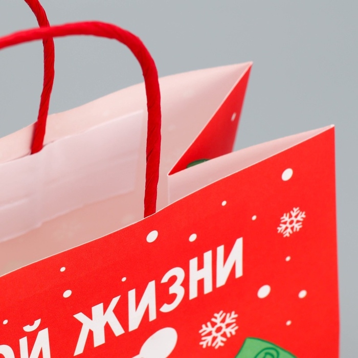 Пакет подарочный новогодний крафтовый &laquo;Что-то на богатом&raquo;, 22 х 22 х 11 см