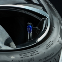 Колпачок на вентиль TORSO, граната, синий, набор 4 шт Колпачок на вентиль TORSO, граната, синий, набор 4 шт