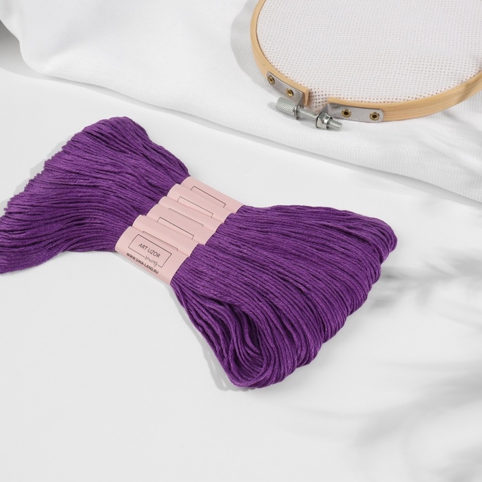 Набор ниток мулине №3348, 8 &plusmn; 1 м, 6 шт, цвет сливовый