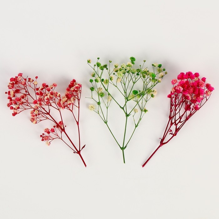 Набор сухоцветов &laquo;Гипсофилы&raquo;