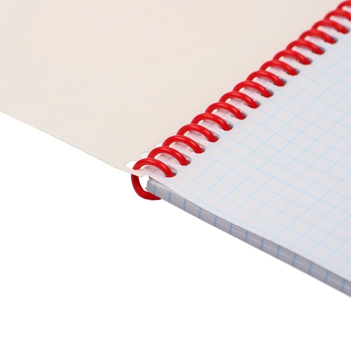 Блокнот А5, на гребне, 40 листов, Человек-паук Блокнот А5, на гребне, 40 листов, Человек-паук