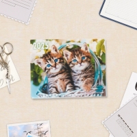 Календарь квартальный мини-трио "Ушки на макушке" 2025 год, 19,5 х 47 см Календарь квартальный мини-трио "Ушки на макушке" 2025 год, 19,5 х 47 см