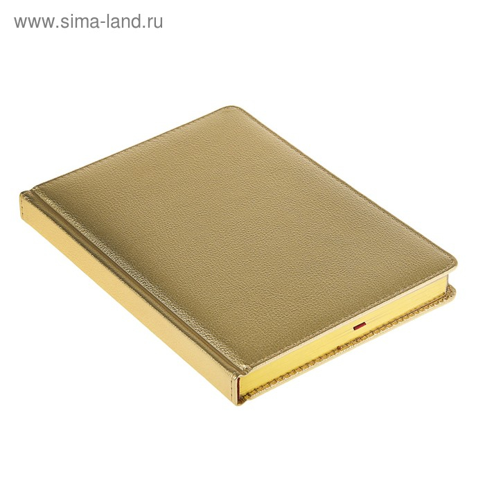 Ежедневник недатированный А5+, 136 листов Sidney Nebraska, твёрдая обложка, искусственная кожа, золотой срез, золото