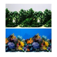 Фон для аквариума двухсторонний, 40 х 75 см Фон для аквариума двухсторонний, 40 х 75 см