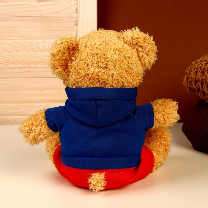 Мягкая игрушка &laquo;Мишка в кофточке&raquo;, цвета МИКС