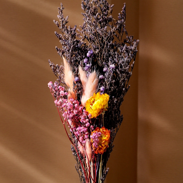 Букет из сухоцветов &laquo;Яркие краски&raquo;, 52 &times; 12 &times; 8 см