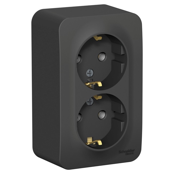 Розетка двойная SE Blanca, 16 А, 250 В, накладная, с з/к, IP20, антрацит, BLNRA010216 Розетка двойная SE Blanca, 16 А, 250 В, накладная, с з/к, IP20, антрацит, BLNRA010216