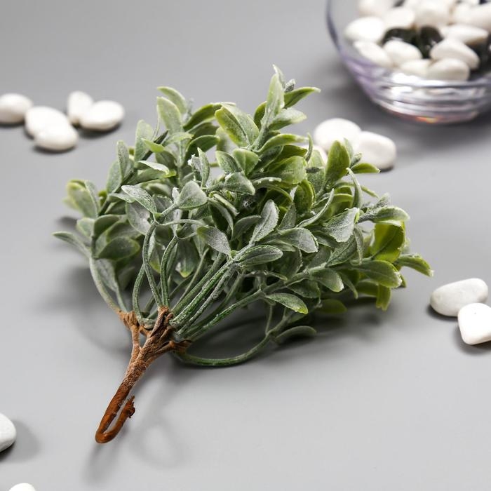 Искусственный суккулент для создания флорариума "Крассула" набор 6 шт 15 см