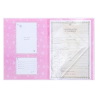 Папка для свидетельства о рождении с уголками &laquo;Мои первые документы&raquo;, для девочки, А4